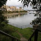 Balmain Cove and Balmain Shores