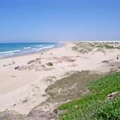 Birubi Point