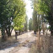 Blayney Area