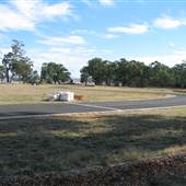 Bogolong Go Kart Circuit