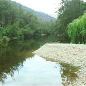 Chaelundi National Park