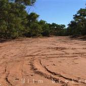 Black Hill Creek