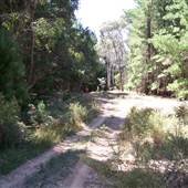 Canobolas State Forest / Recreation Area