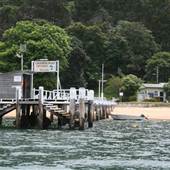 Currawong Beach Cottages