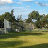 Northmead Reserve Baseball Fields