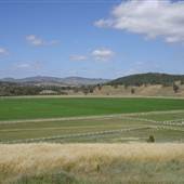 Guntawang Thoroughbred Stud