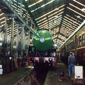 Heritage Steam Train Tours 3801