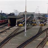Port Waratah Coal Train Depot