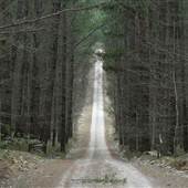 Newnes State Forest