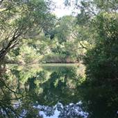 Stotts Island Nature Reserve