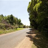 Pearsons Lane
