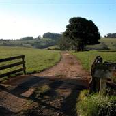 Robertson - Southern Highlands