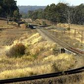 Wollar, NE of Mudgee