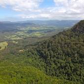 Kangaroo valley