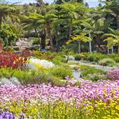 The Australian Botanic Garden Mount Annan