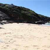 North Curl Curl Beach