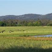 Bega Valley Area