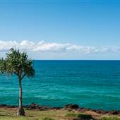 Fingal Head Lighthouse & Coastal Reserve