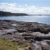 Bass Point Reserve