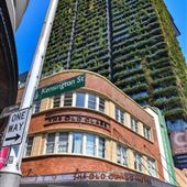 Kensington Street PRECINCT