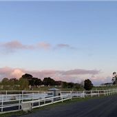 Darkes Forest Ranch