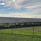 Menangle