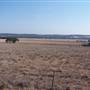 Dubbo (surrounds)