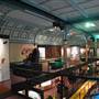 Australian Museum