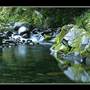 Barrington Tops area