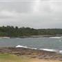 Bass Point Reserve