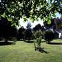 Albury