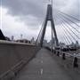 Anzac Bridge
