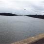 Ash Island Bridge