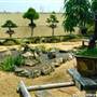 Japanese Garden - Auburn Botanic Gardens