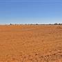 Balranald Area