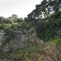 Bellinger Valley