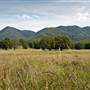 Bellinger Valley