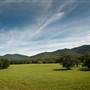 Bellinger Valley