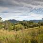 Bellinger Valley