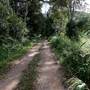 Bellinger Valley