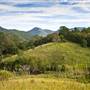 Bellinger Valley