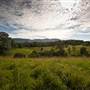 Bellinger Valley