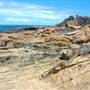 Bermagui