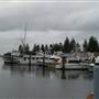Bermagui