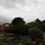 Bermagui
