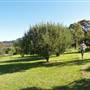 Big Bell farm, Kangaroo Valley