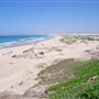 Birubi Point