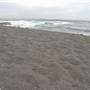 Black Sand Beach, Bass Point Reserve & Shell Cove