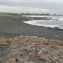 Black Sand Beach, Bass Point Reserve & Shell Cove
