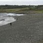Black Sand Beach, Bass Point Reserve & Shell Cove